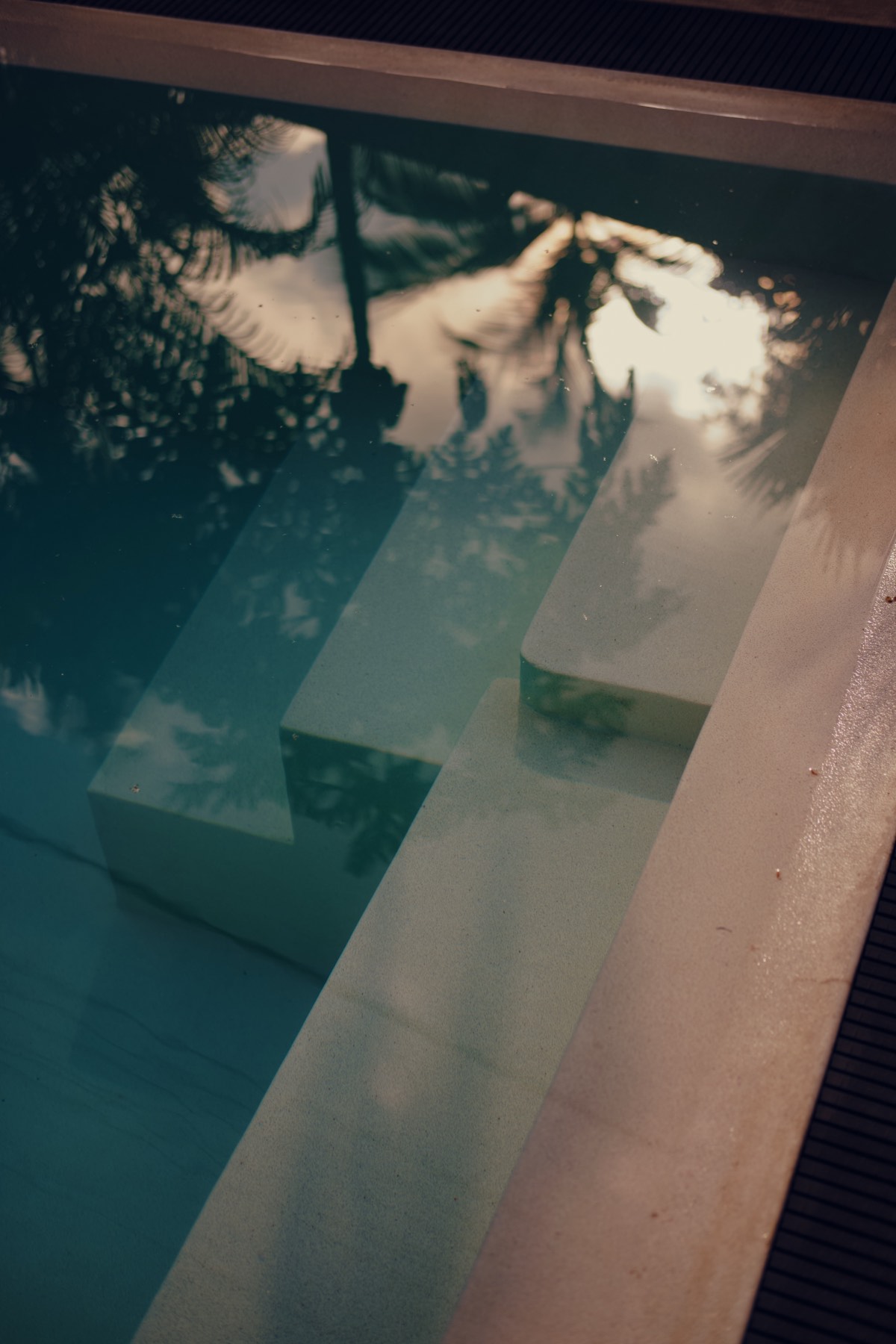 The pool steps, close — palm reflections and warm evening light broken across the water.